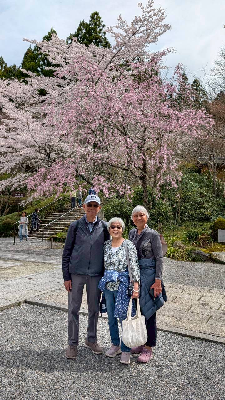 京都大原三千院 VIP 私人旅遊景點
