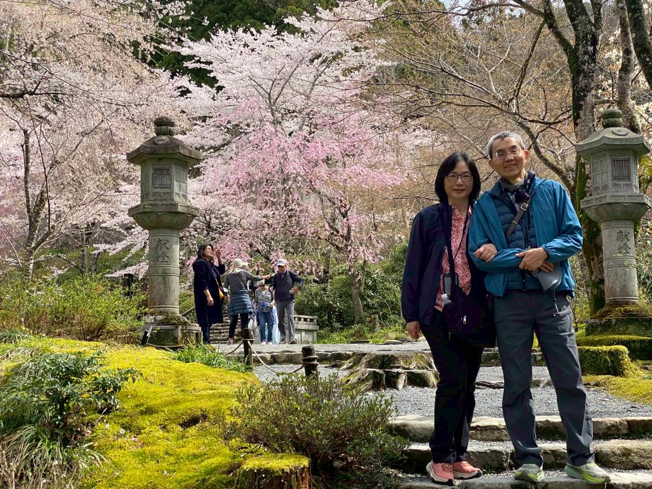 京都大原三千院庭園景色 VIP 私人旅遊