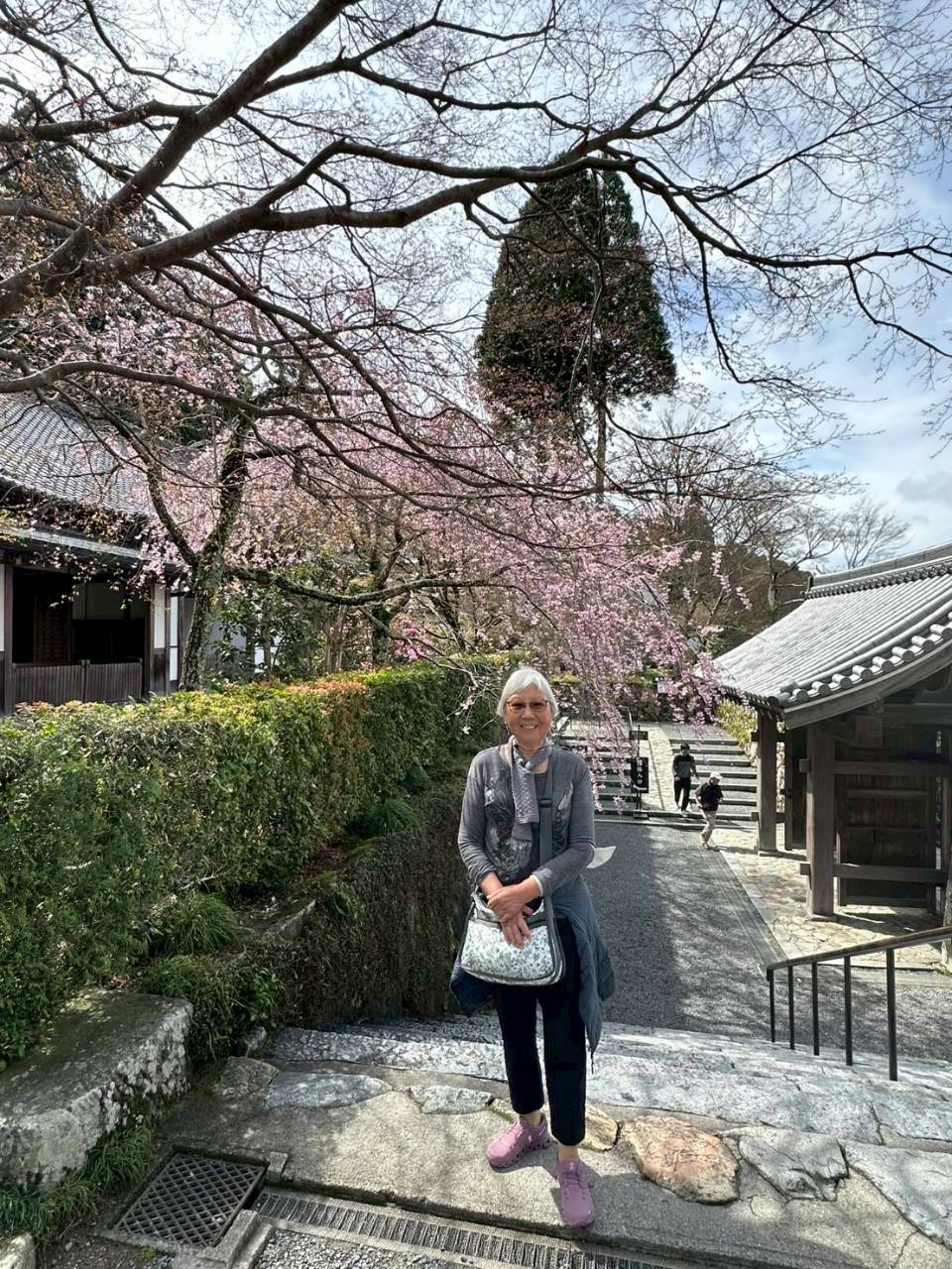 京都大原三千院旅遊照片 VIP 私人行程