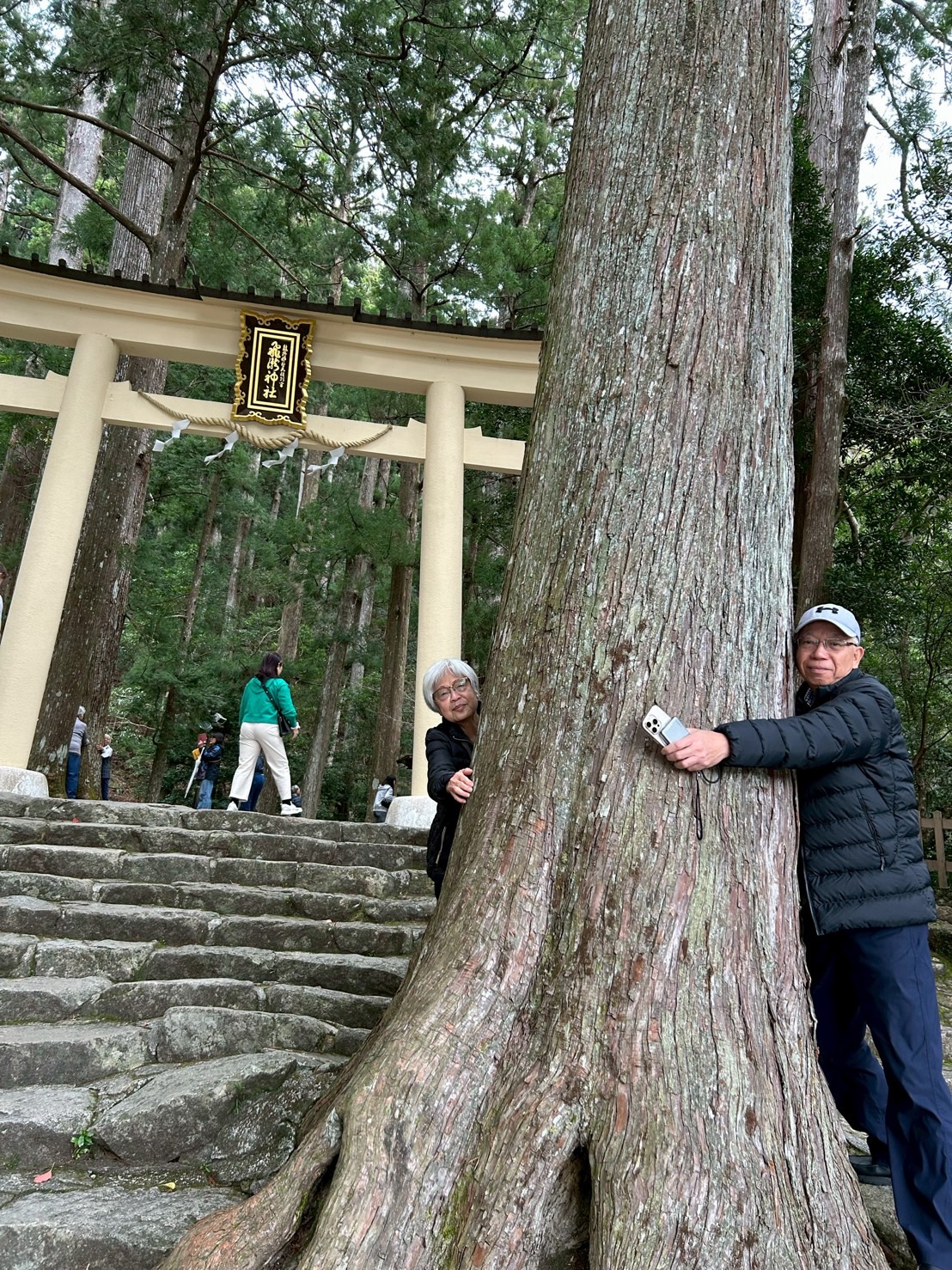 和歌山熊野古道飛龍瀑布 VIP 私人旅遊景點