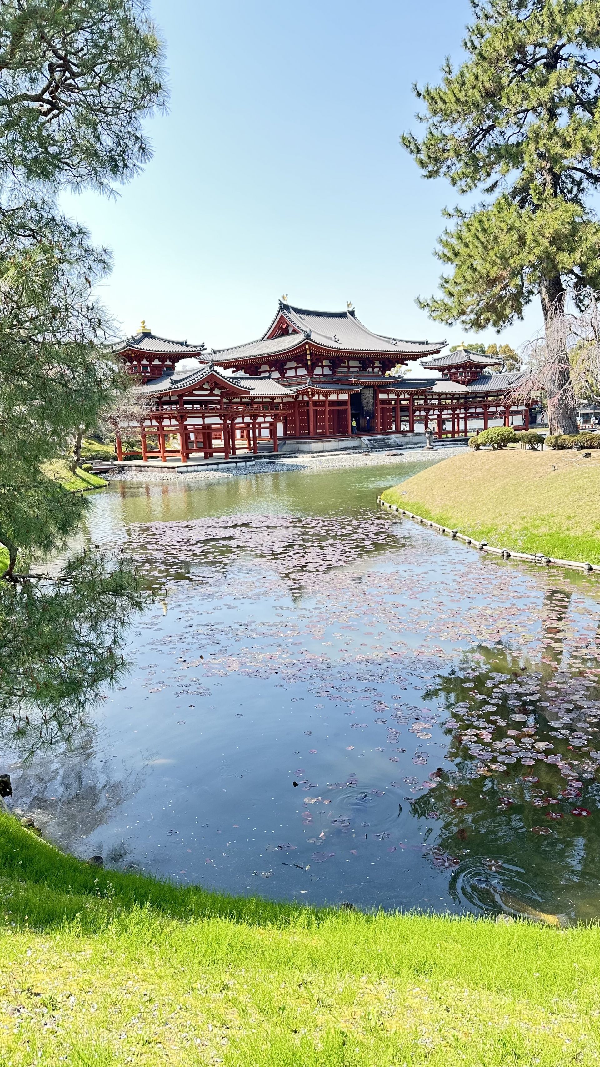 京都宇治平等院 VIP 私人旅遊世界遺產景點