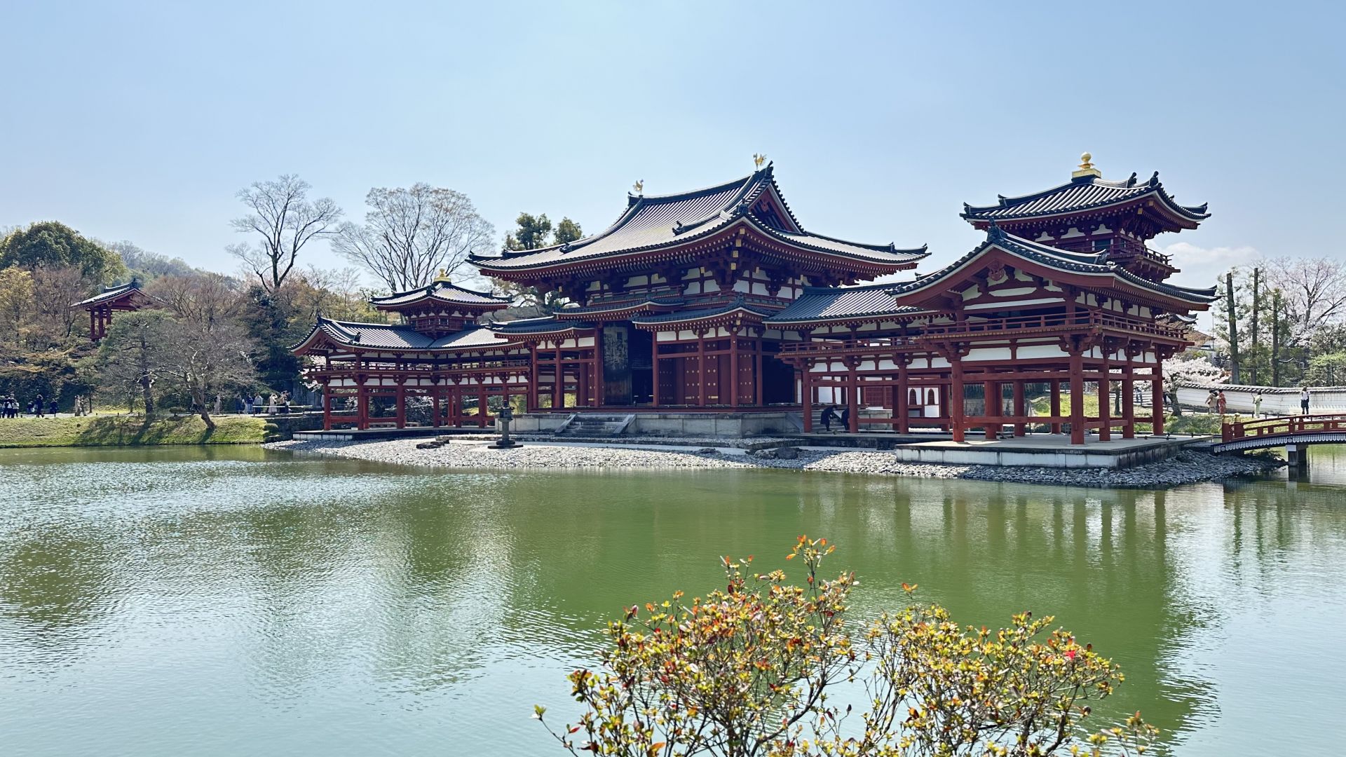 京都宇治平等院 VIP 私人旅遊世界遺產景點