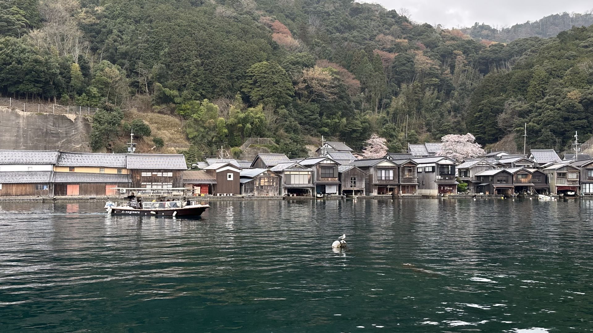 京都海之京都伊根午餐 VIP 私人旅遊