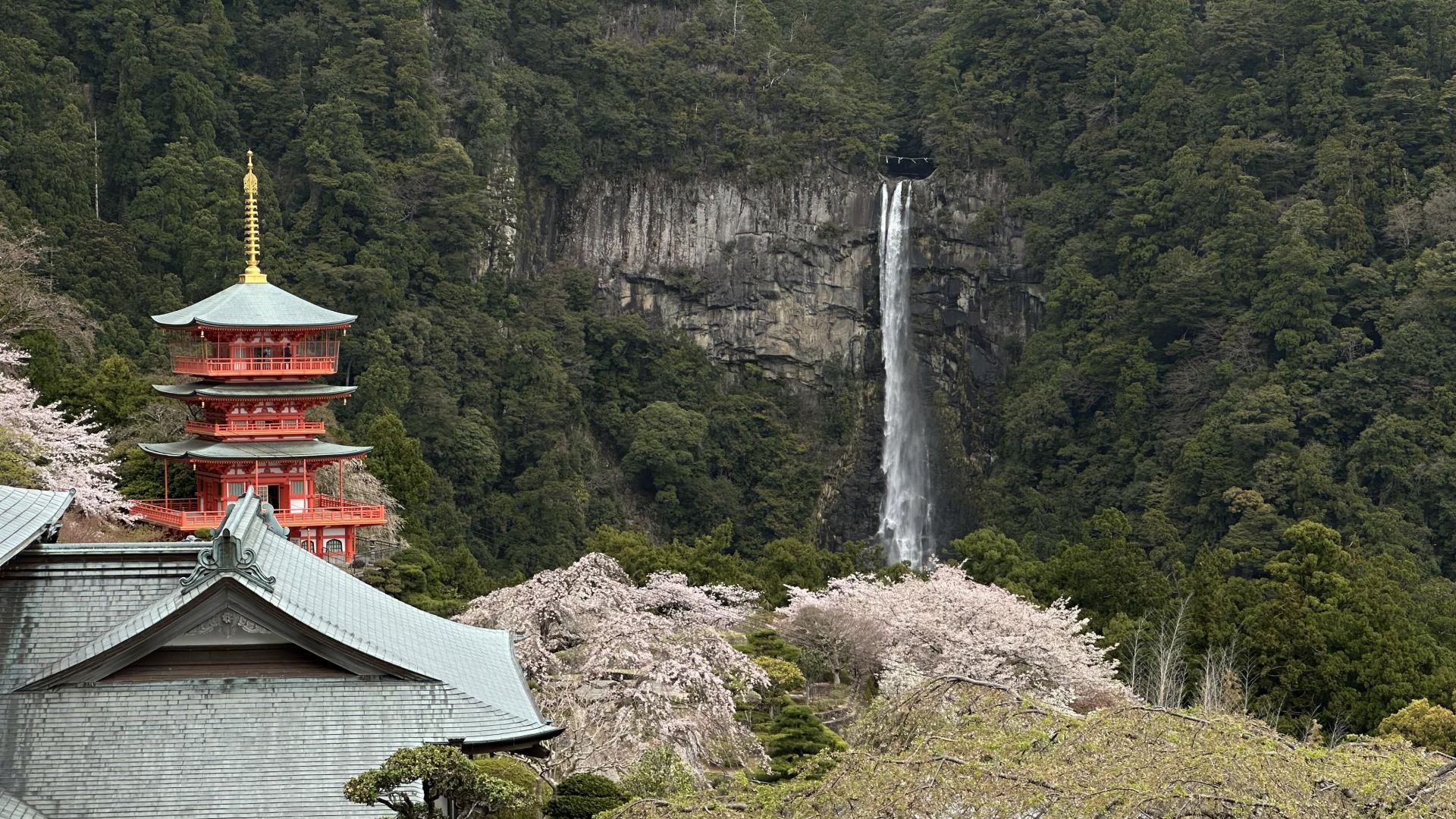 和歌山熊野本宮大社 VIP 私人旅遊世界遺產景點