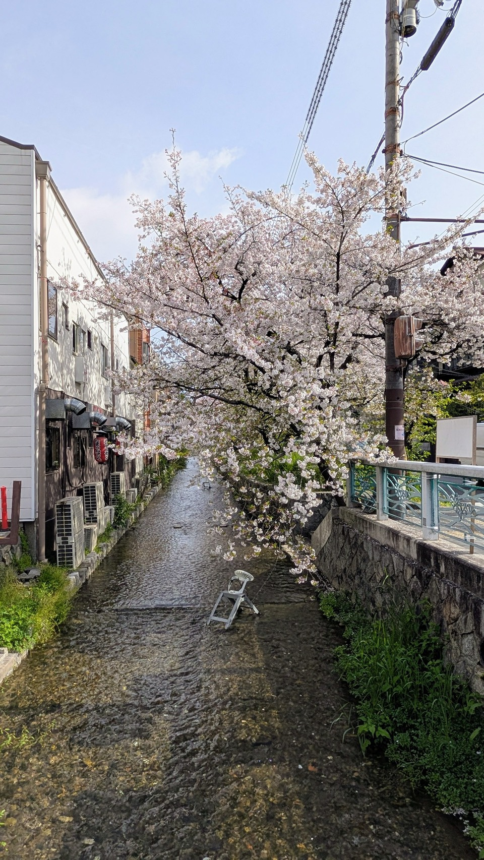 祇園白川